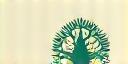 Evergreen Meditation Collective Logo